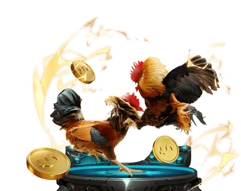 Quy trình đăng ký đối tác HL8